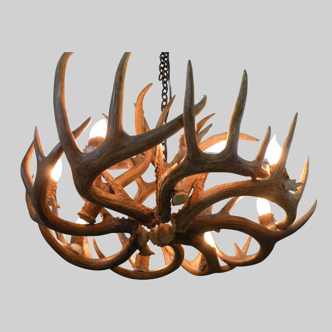 Little Bear Round Whitetail Deer Antler Chandelier, Large – 8 Lights