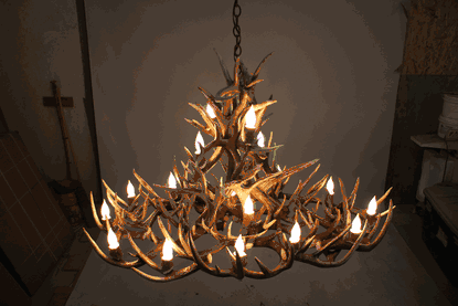 Aspen Mule Deer Antler Chandelier, Medium -1 Tier, 8 Lights