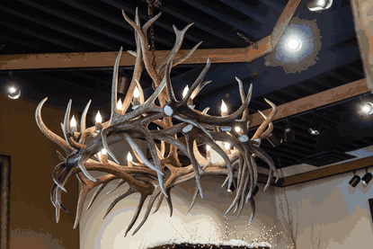 Hayman Elk Antler Chandelier, Large - 15 Lights