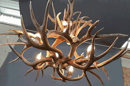 Ponderosa Mule Deer Antler Chandelier, Medium - 8 Lights