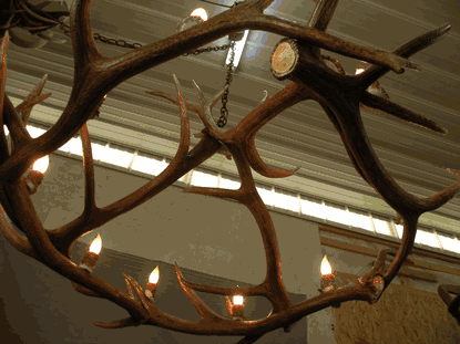 Mt. Eolus Elk Chandelier, Medium - 8 Lights