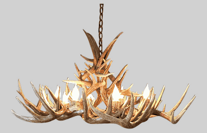 Whitetail Deer Antler Chandeliers