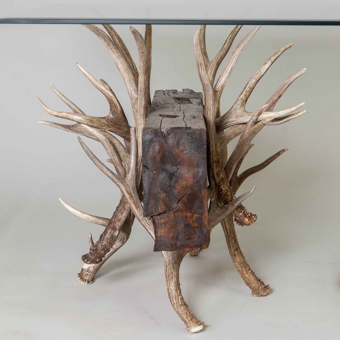 Timberline Mule Deer Antler End Table