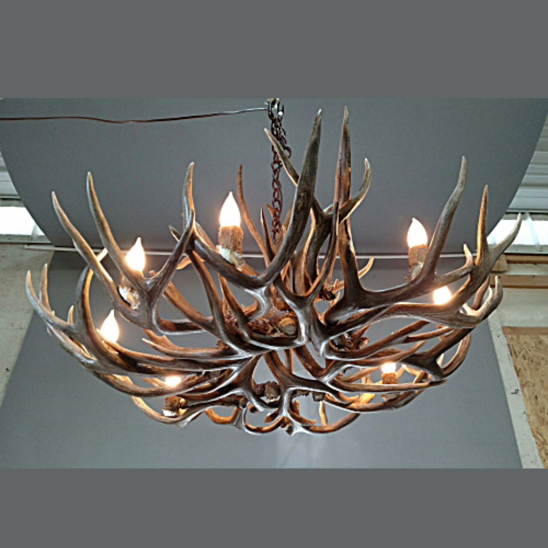 Aspen Mule Deer Antler Chandelier, Medium -1 Tier, 8 Lights