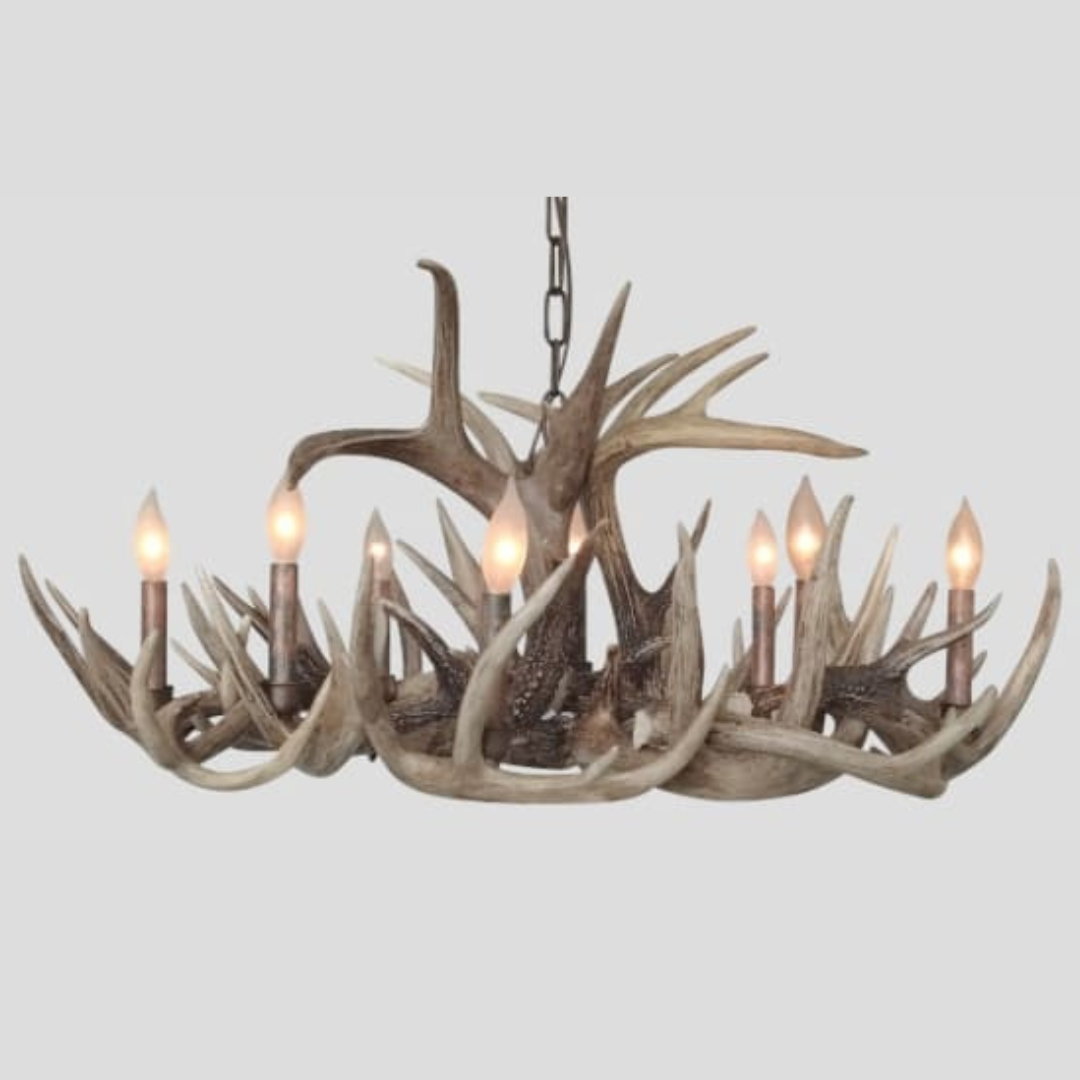 Little Bear Oval Whitetail Deer Antler Chandelier – 8 Lights