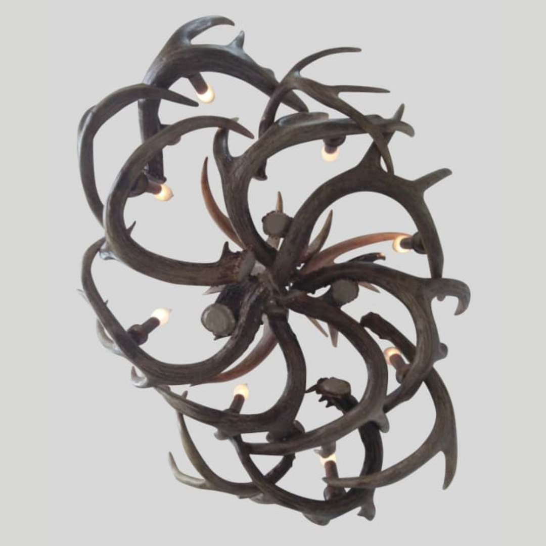 Little Bear Oval Whitetail Deer Antler Chandelier – 8 Lights