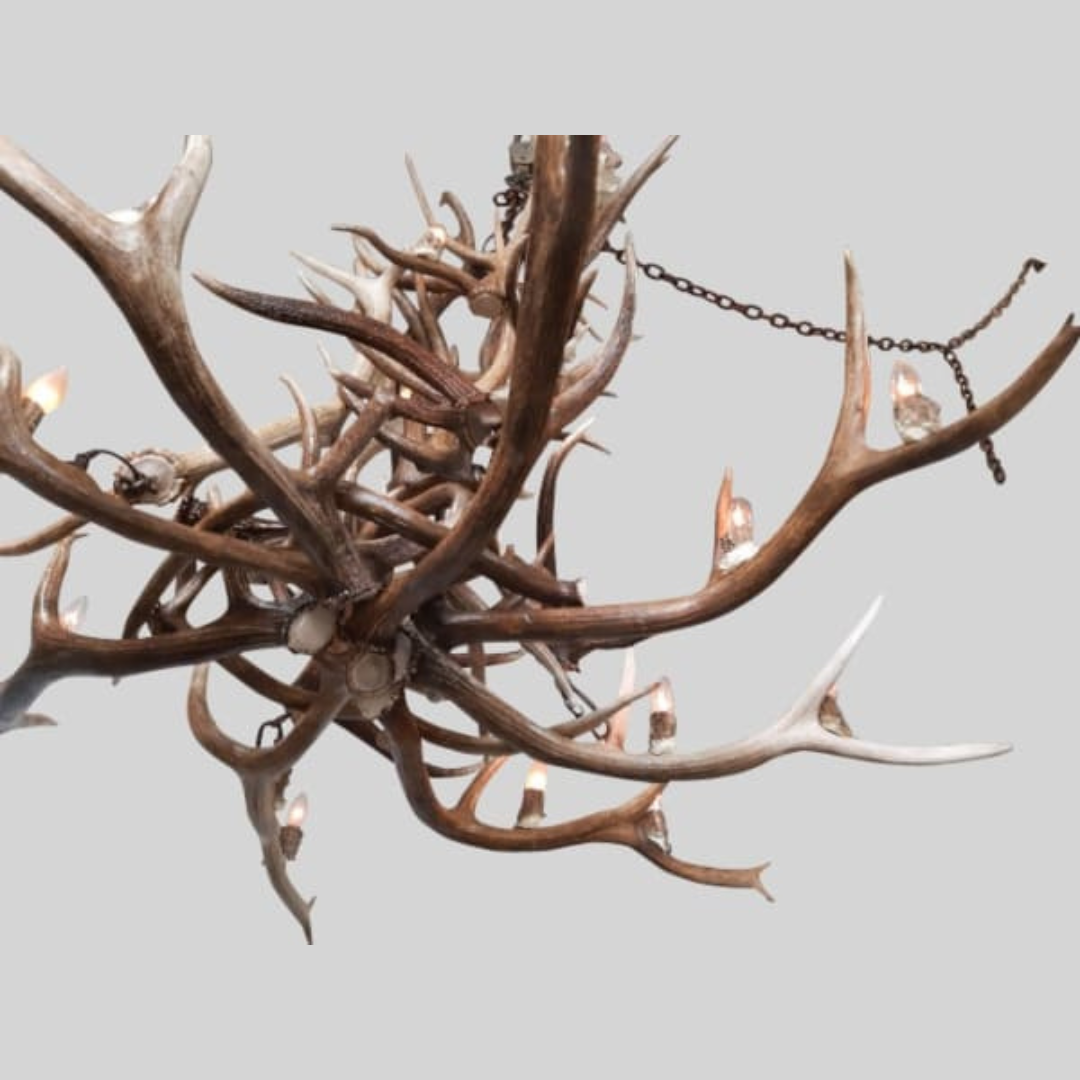 Redcloud Peak Elk Chandelier, Extra Large - 22 Lights