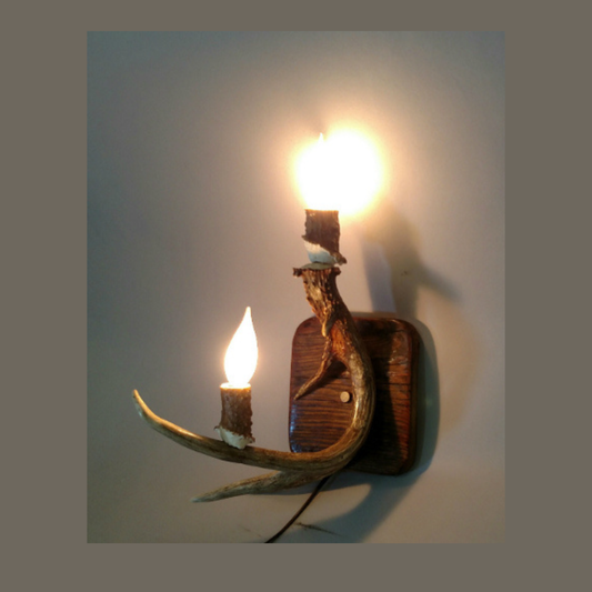 Peak Whitetail Deer Antler Sconce