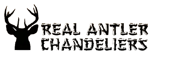Real Antler Chandeliers