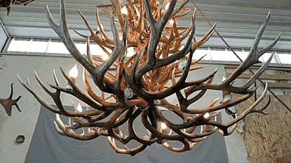 Aspen Mule Deer Antler Chandelier, Extra Large - 3 Tiers, 24 Lights
