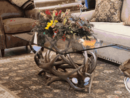 Elk Antler Coffee Table