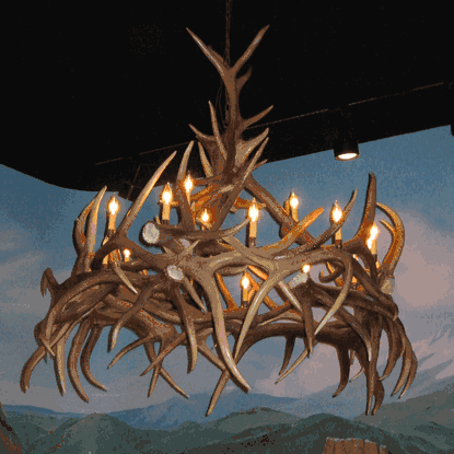 Hayman Elk Antler Chandelier, Large - 15 Lights