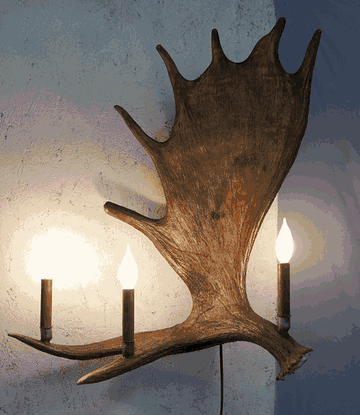 Peak Moose Antler Sconce - 3 Light