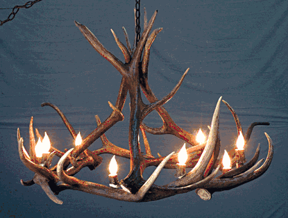 Mt. Eolus Elk Chandelier, Medium - 8 Lights